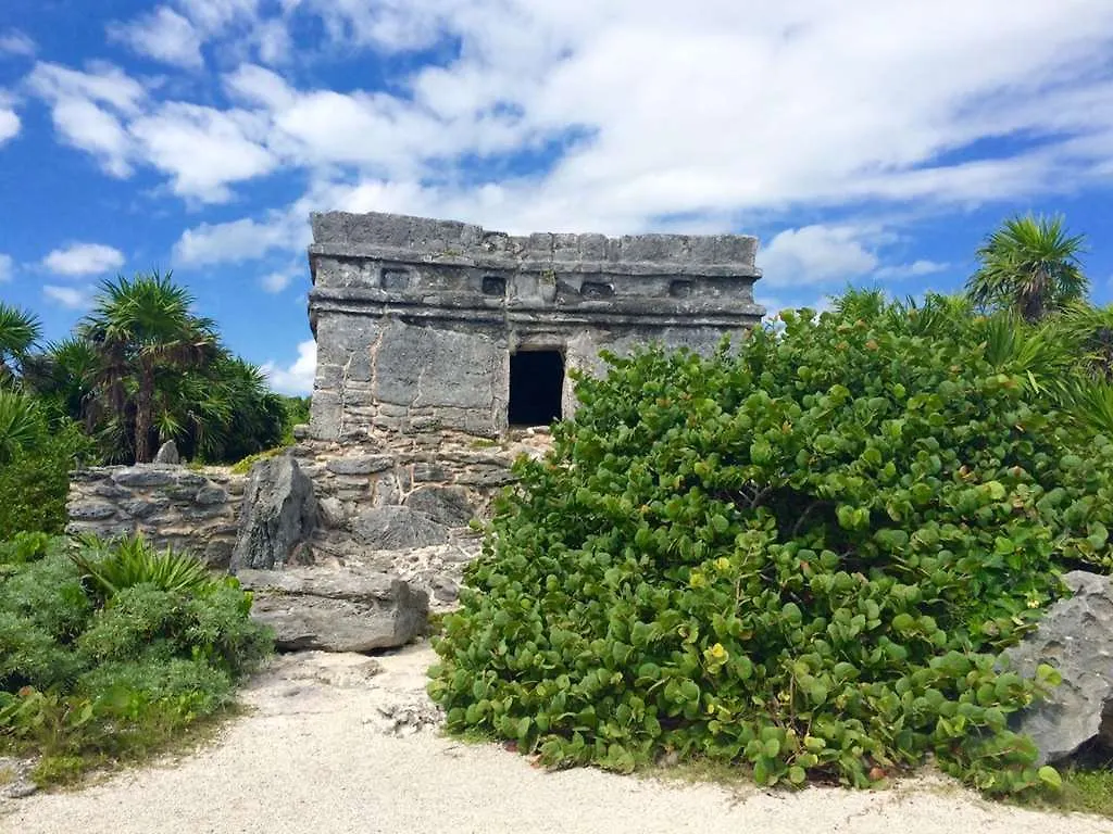 Occidental At Xcaret Destination Hotell Xcaret Park 5*,  Mexiko