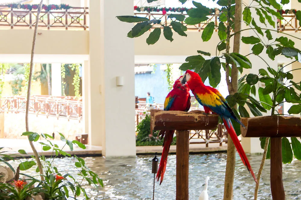 Resort Occidental At Xcaret Destination Hotel Xcaret Park