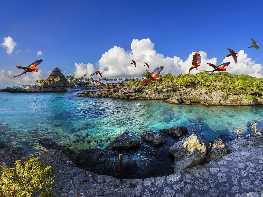 Occidental At Xcaret Destination Hotel Xcaret Park Resort